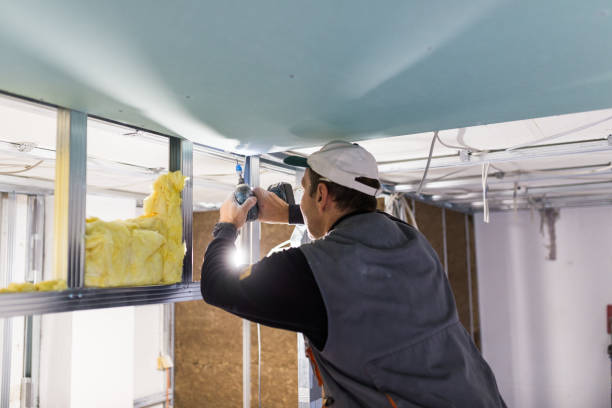 Best Specialized Insulation Services in Tri Lakes, IN