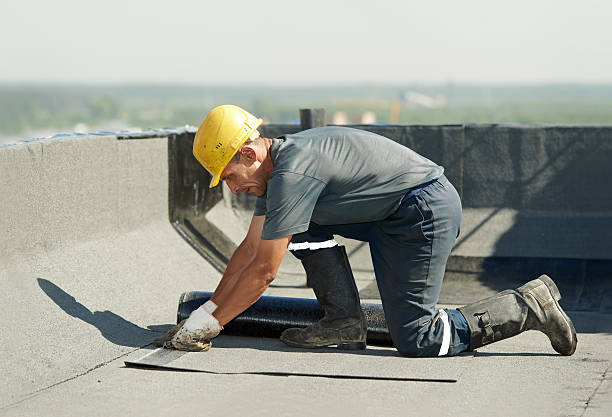 Best Eco-Friendly Insulation in Tri Lakes, IN