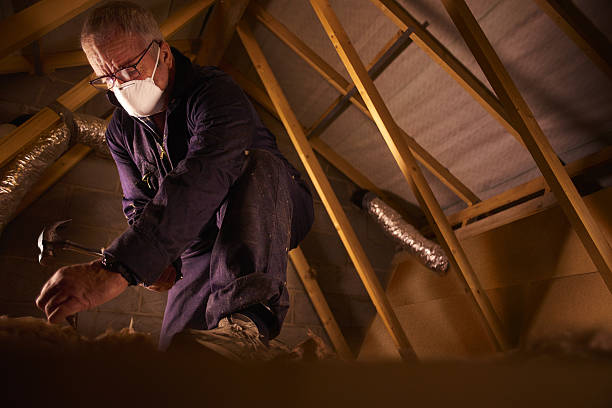 Professional Insulation Contractor in Tri Lakes, IN